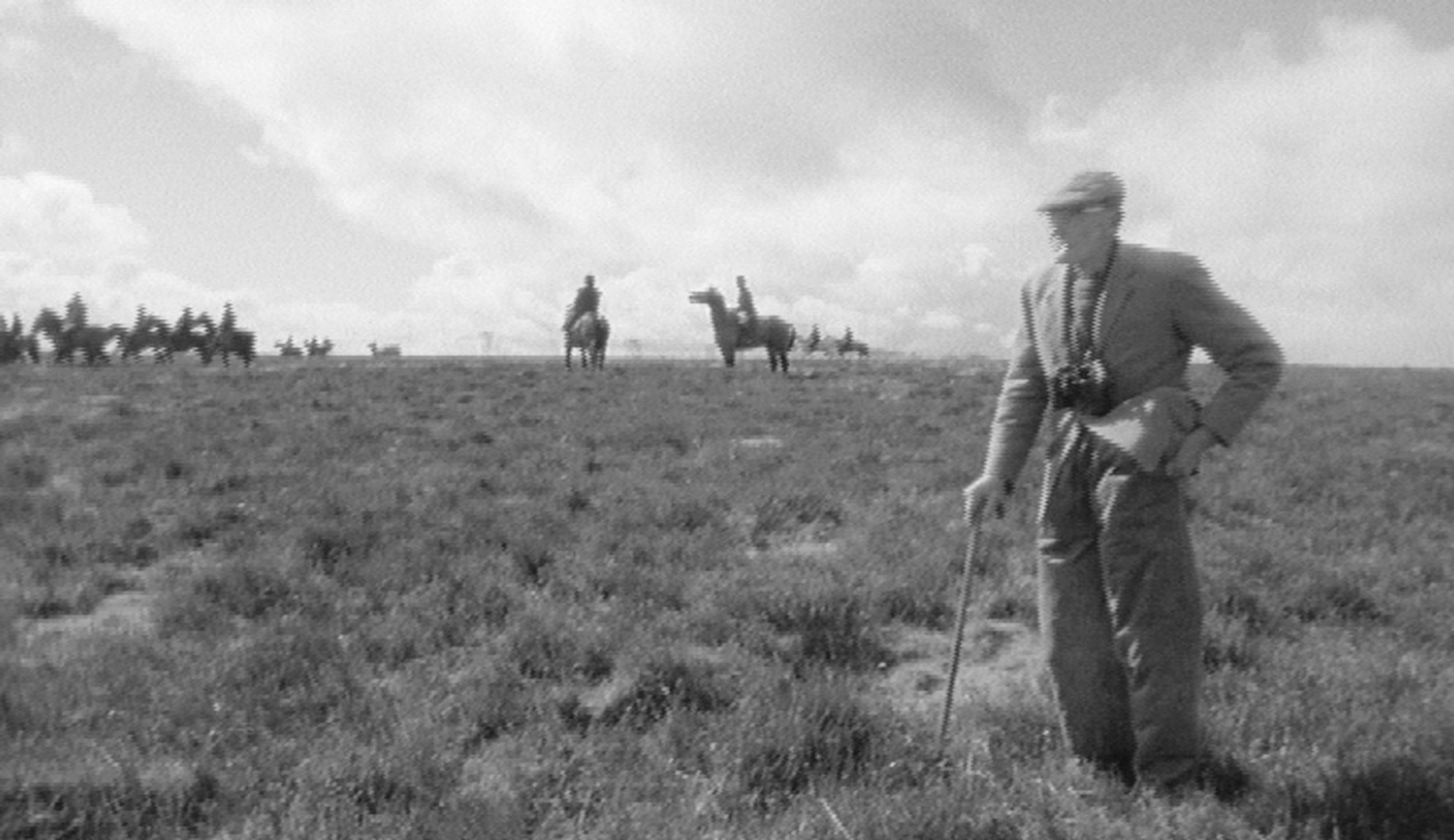 Life and Death on Exmoor