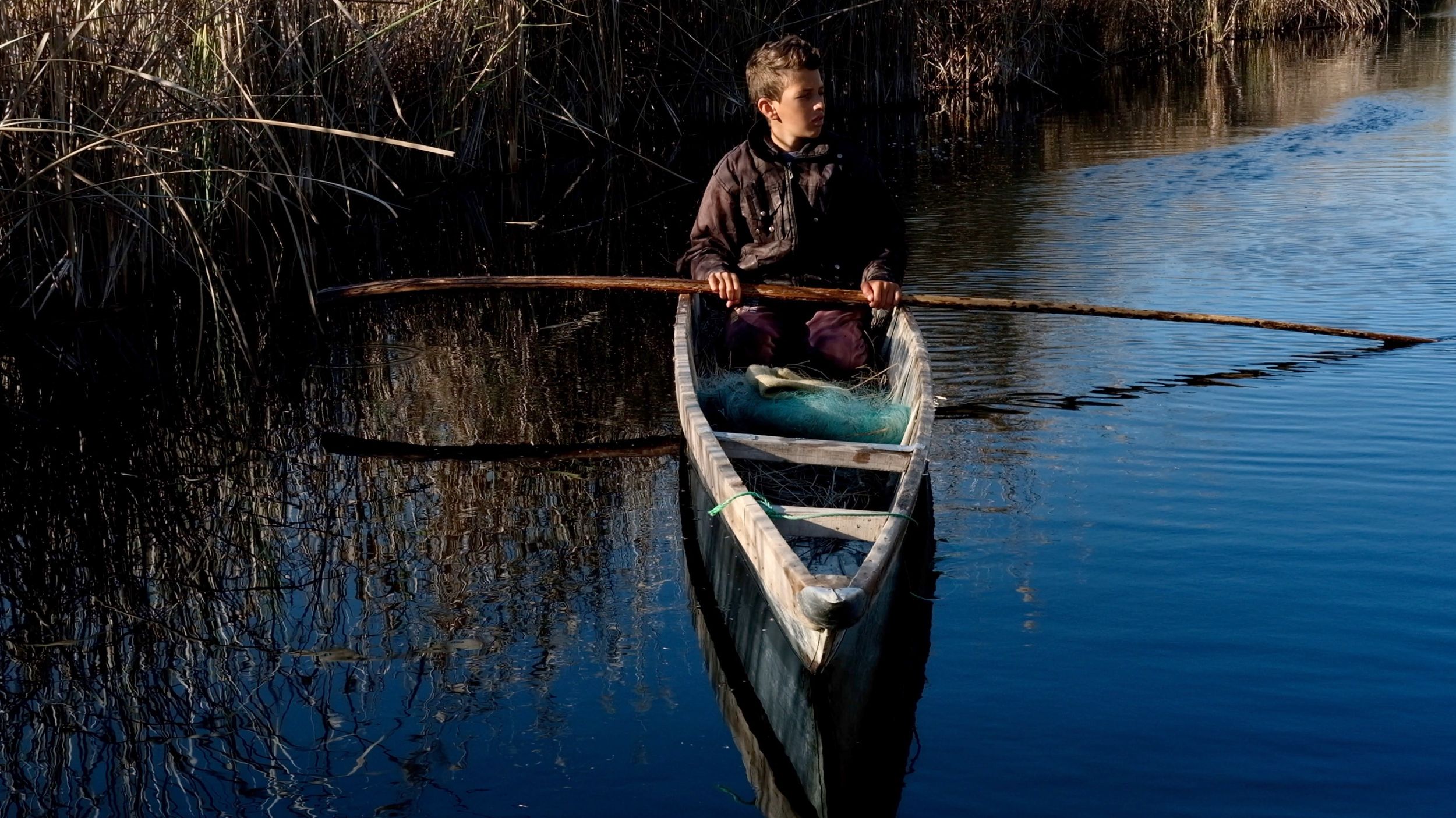 Shadegan