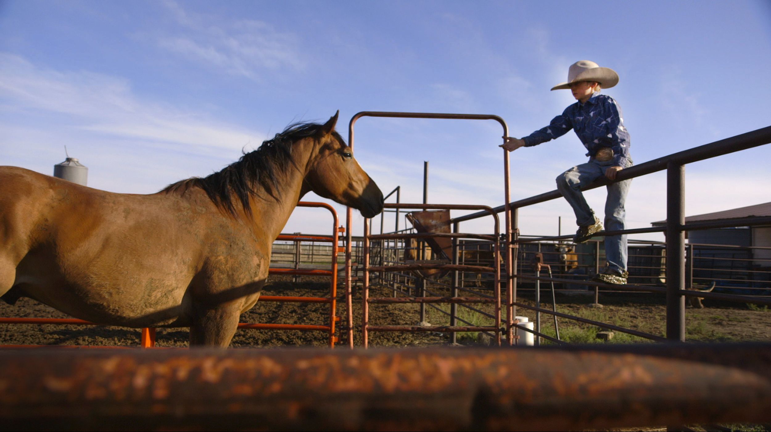 Crowley – Every Cowboy Needs His Horse