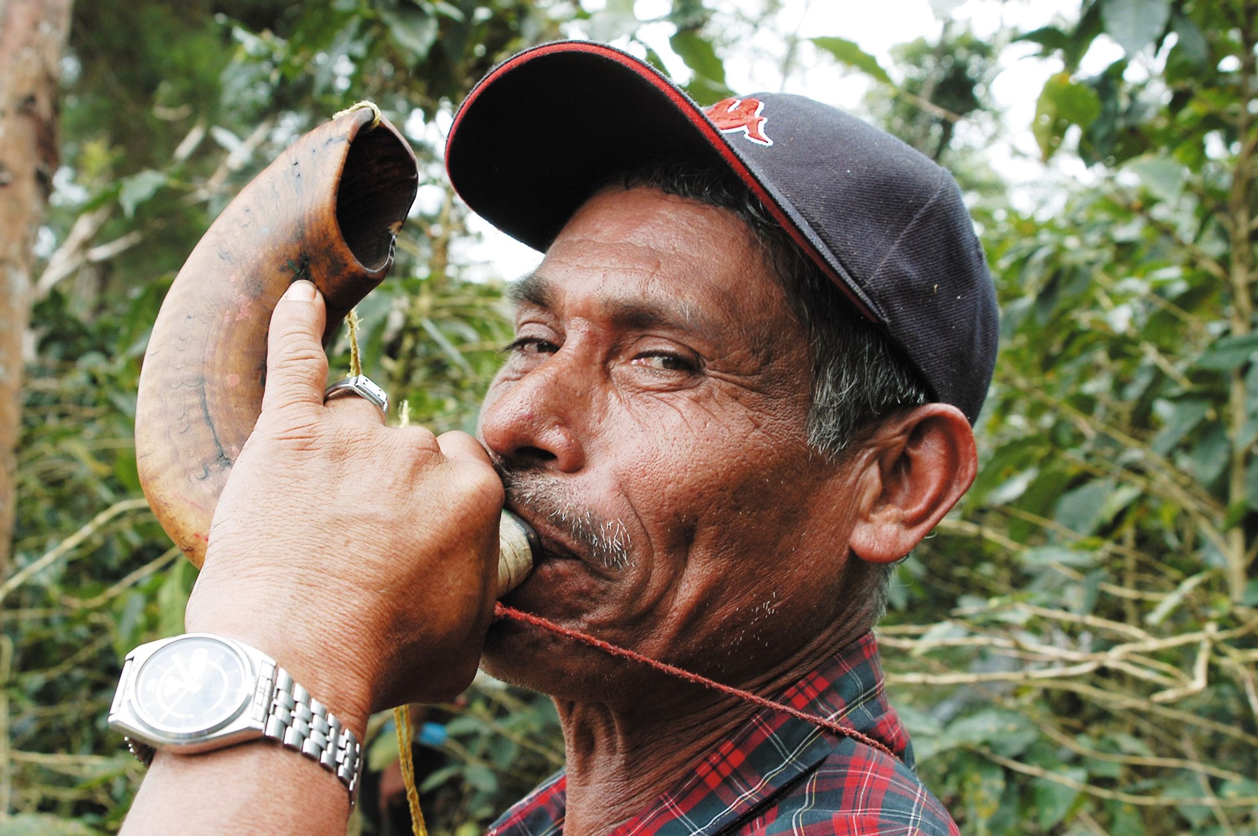 El barrilete