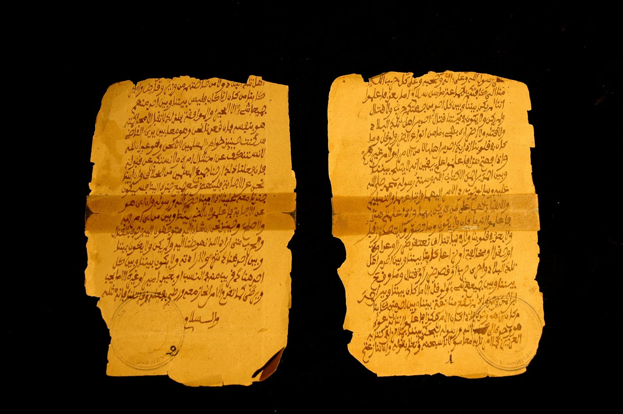 The Manuscripts of Timbuktu