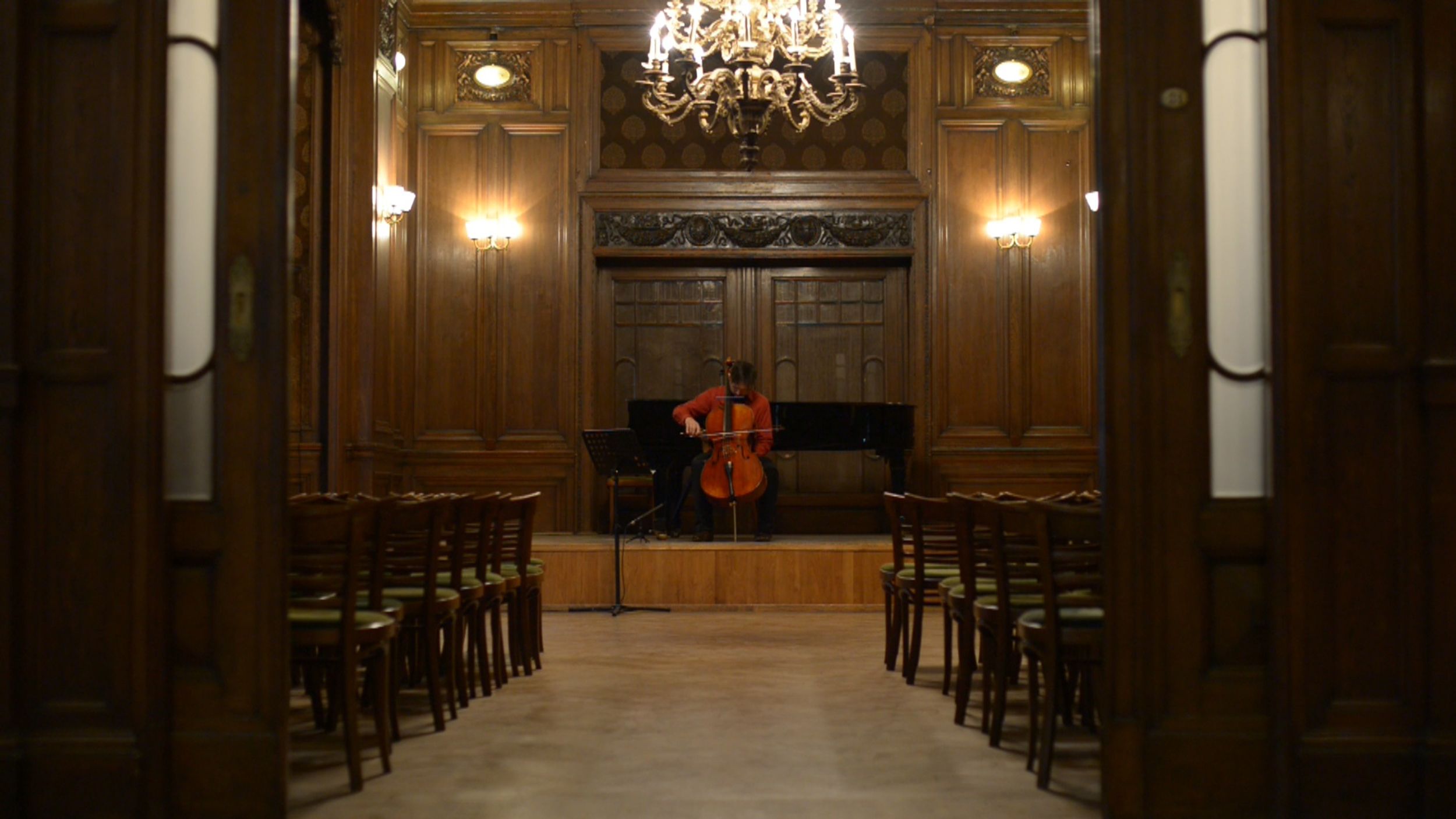 Right Side of Cello
